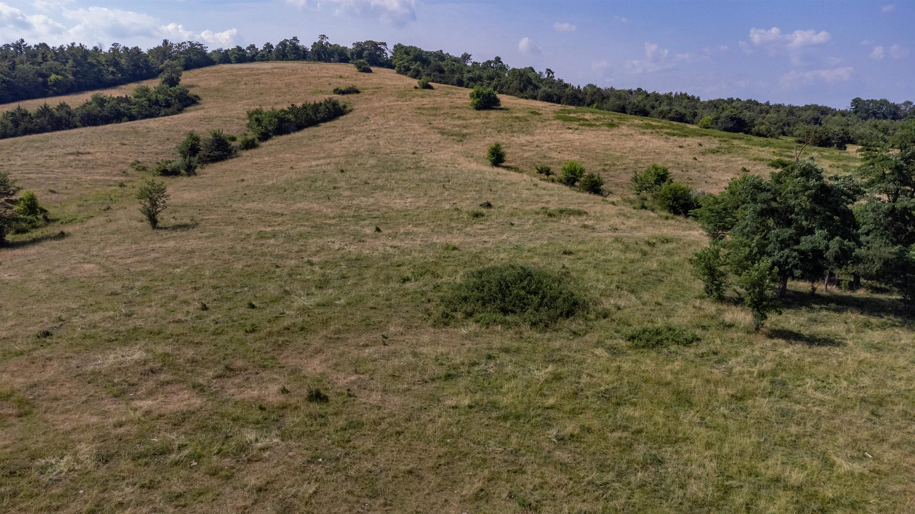 tbd W KAYLOR PARK DR, HARRISONBURG, Virginia 22801, ,Commercial,tbd W KAYLOR PARK DR,667293 MLS # 667293