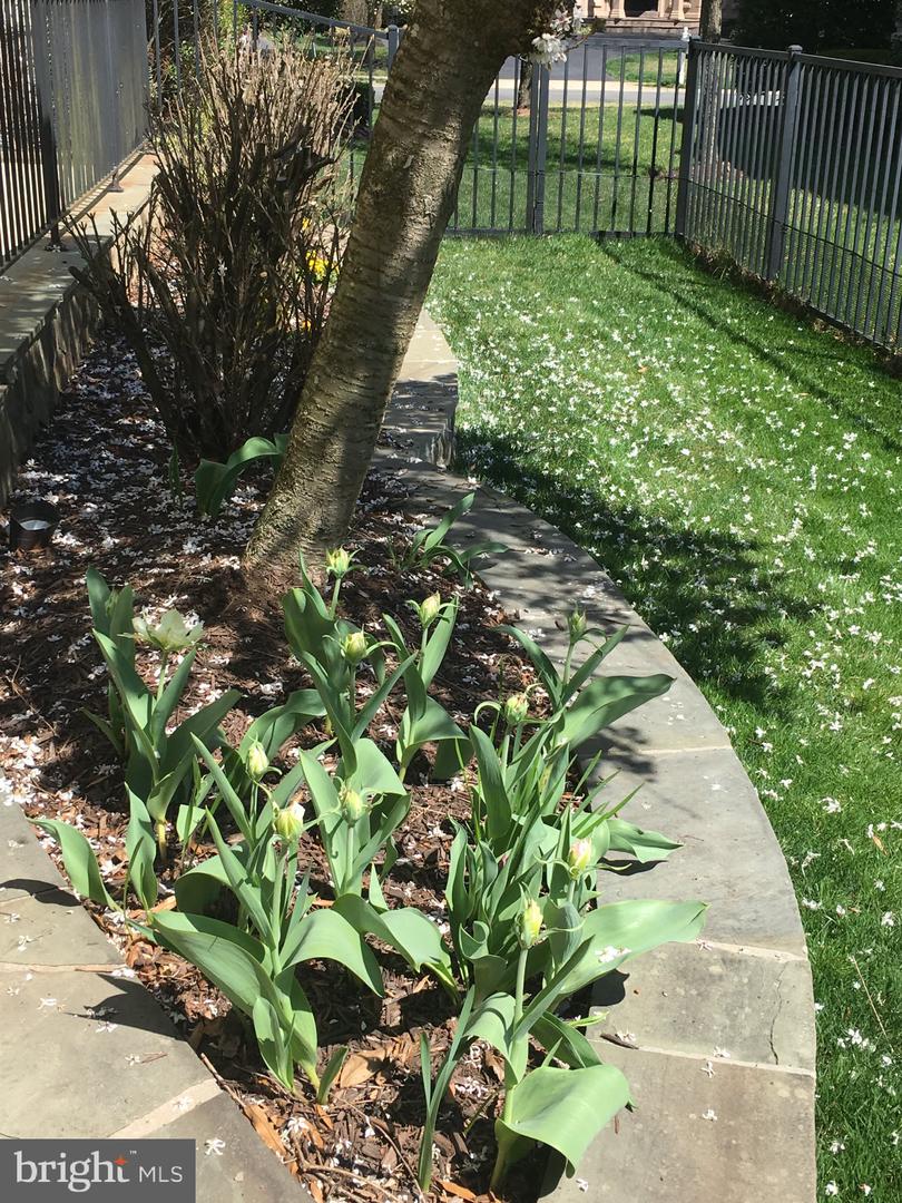 8268 ROXBOROUGH LOOP, GAINESVILLE, Virginia 20155, 3 Bedrooms Bedrooms, ,3 BathroomsBathrooms,Residential,For sale,8268 ROXBOROUGH LOOP,VAPW2111366 MLS # VAPW2111366