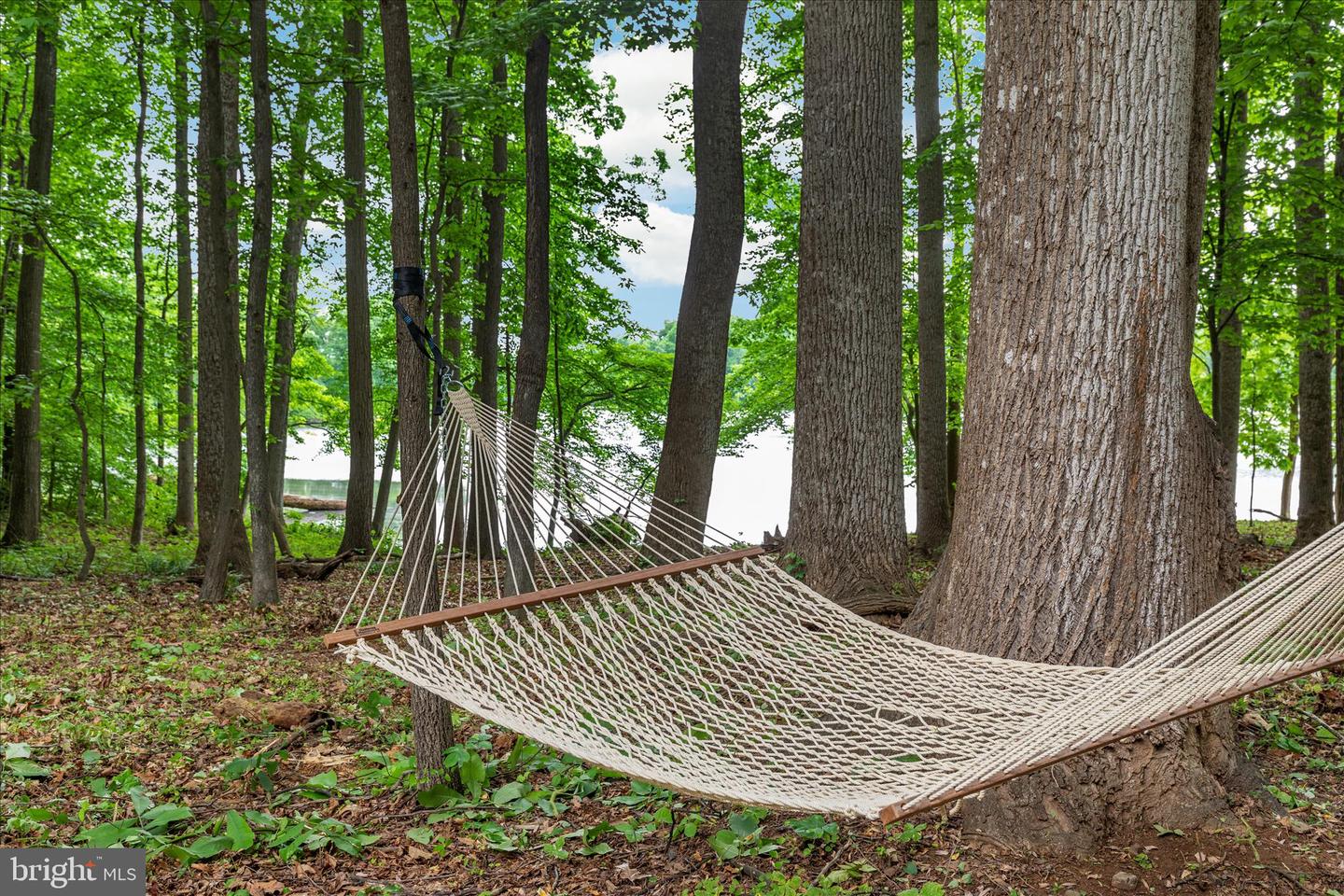 4386 LAKEWOOD DR, WARRENTON, Virginia 20187, 4 Bedrooms Bedrooms, ,3 BathroomsBathrooms,Residential,For sale,4386 LAKEWOOD DR,VAFQ2020304 MLS # VAFQ2020304