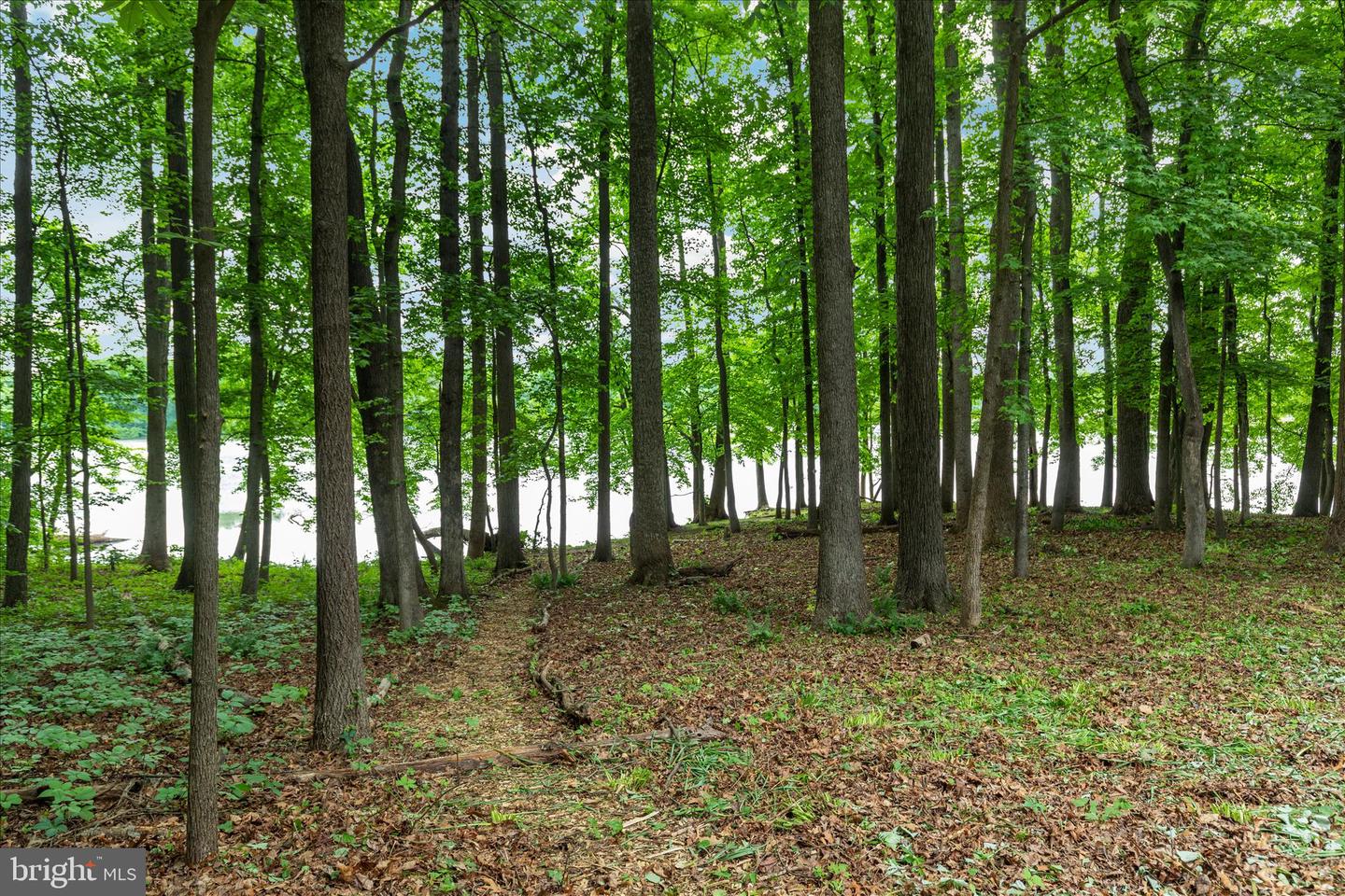 4386 LAKEWOOD DR, WARRENTON, Virginia 20187, 4 Bedrooms Bedrooms, ,3 BathroomsBathrooms,Residential,For sale,4386 LAKEWOOD DR,VAFQ2020304 MLS # VAFQ2020304