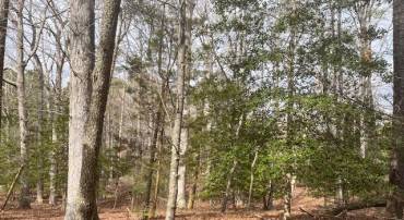 2269 BUCCANEER BLVD, GREENBACKVILLE, Virginia 23356, ,Land,For sale,2269 BUCCANEER BLVD,VAAC2002606 MLS # VAAC2002606