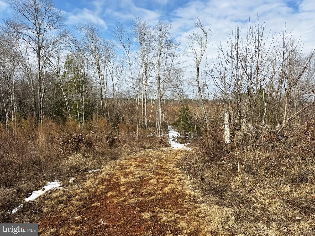 0 BENTON RD, TRIPLET, Virginia 23868, ,Farm,For sale,0 BENTON RD,VABW2000100 MLS # VABW2000100