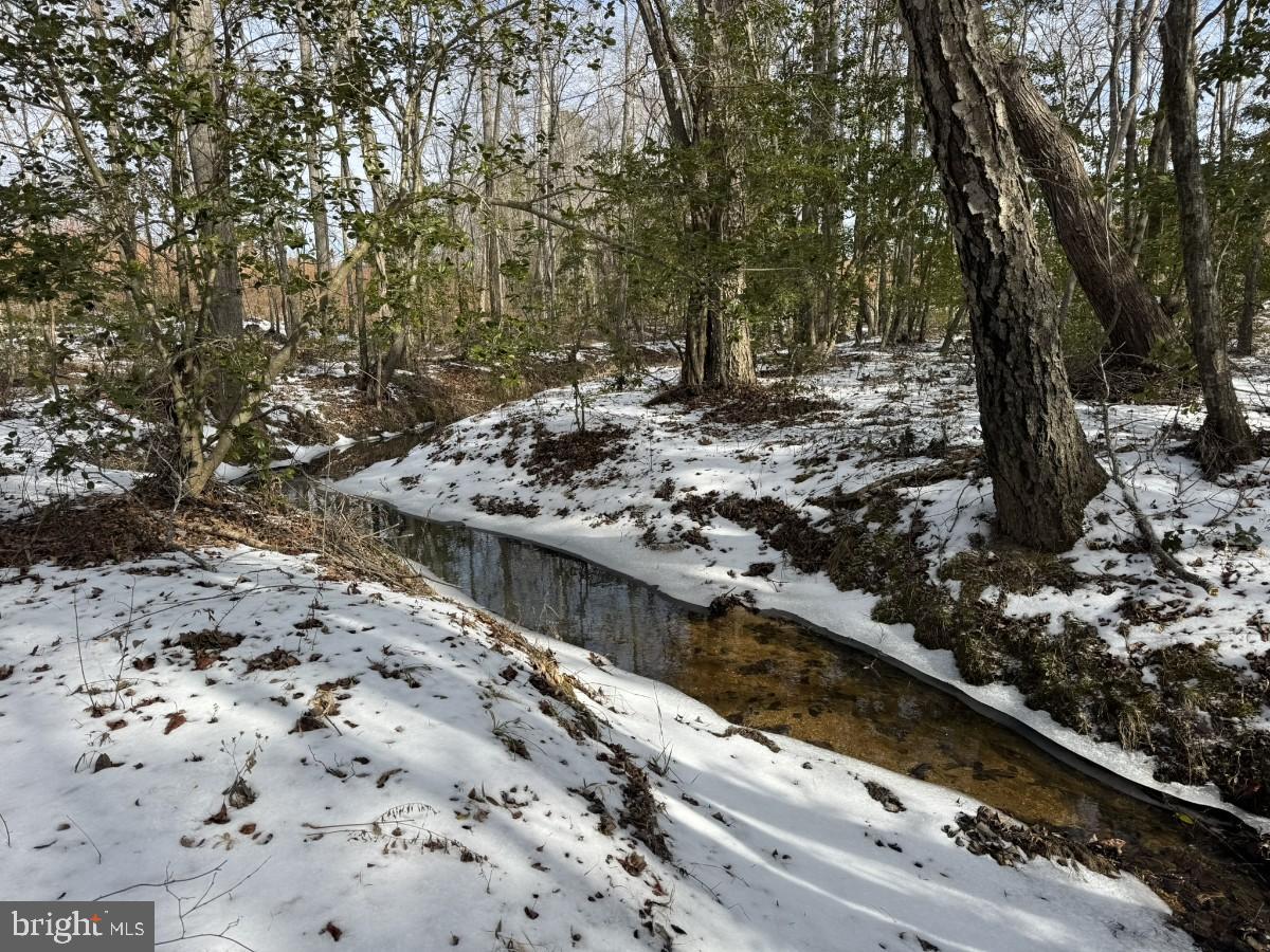 0 BENTON RD, TRIPLET, Virginia 23868, ,Farm,For sale,0 BENTON RD,VABW2000100 MLS # VABW2000100