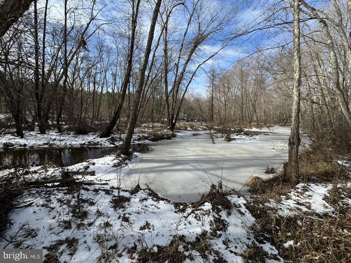 0 BENTON RD, TRIPLET, Virginia 23868, ,Farm,For sale,0 BENTON RD,VABW2000100 MLS # VABW2000100