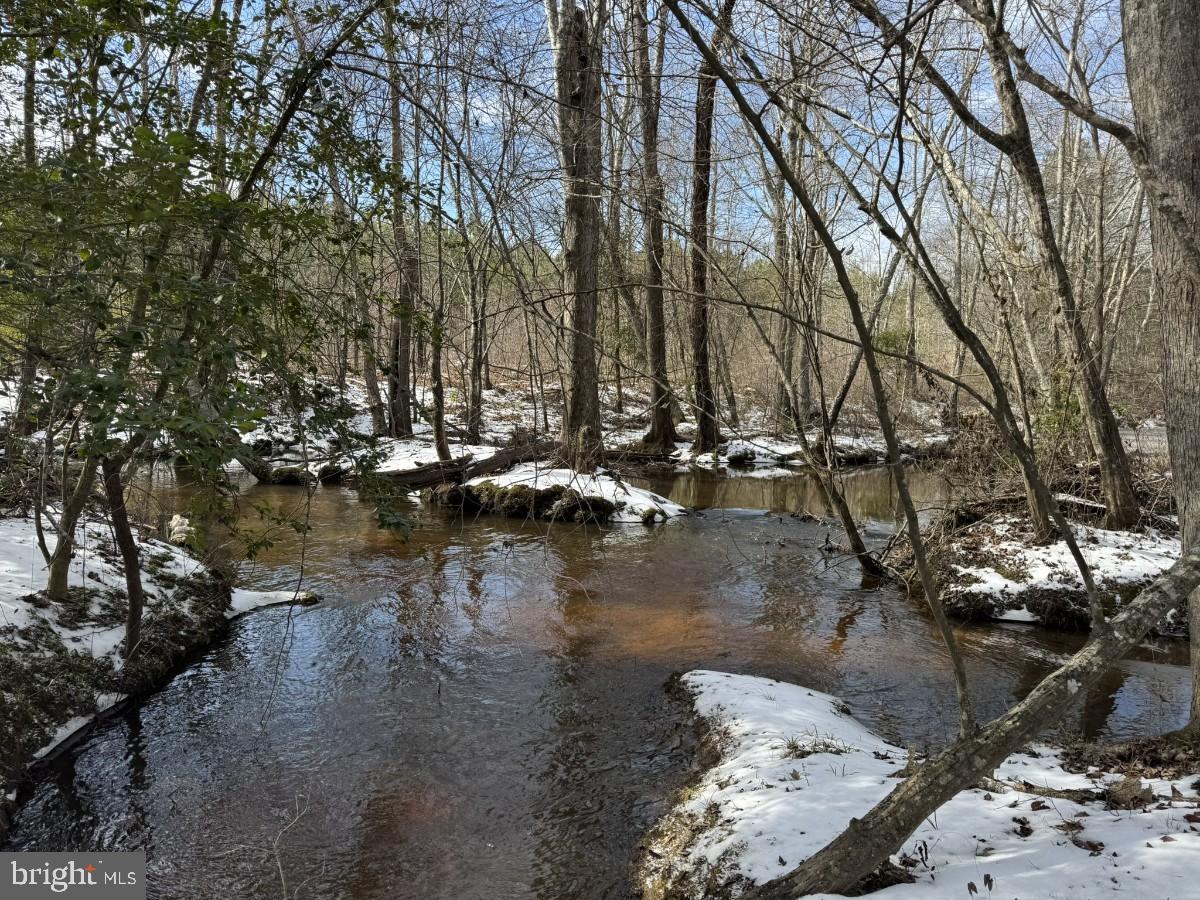 0 BENTON RD, TRIPLET, Virginia 23868, ,Farm,For sale,0 BENTON RD,VABW2000100 MLS # VABW2000100