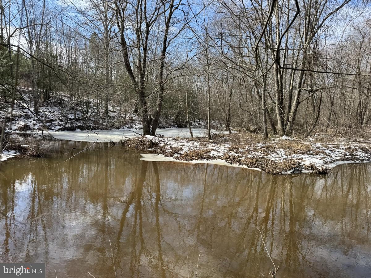 0 BENTON RD, TRIPLET, Virginia 23868, ,Farm,For sale,0 BENTON RD,VABW2000100 MLS # VABW2000100