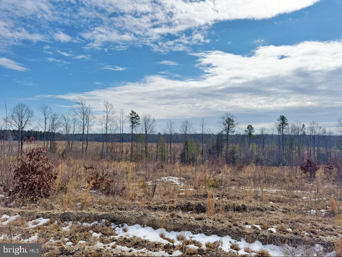 0 BENTON RD, TRIPLET, Virginia 23868, ,Farm,For sale,0 BENTON RD,VABW2000100 MLS # VABW2000100