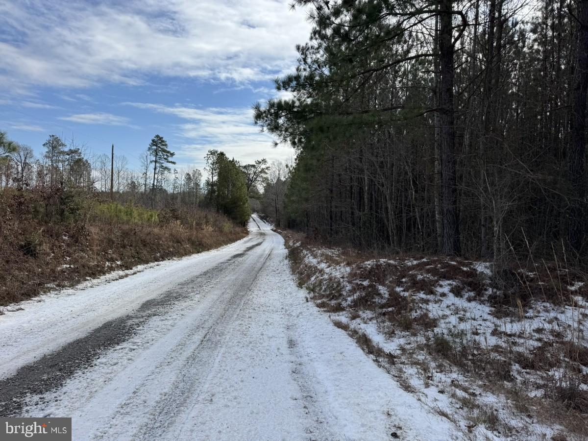 0 BENTON RD, TRIPLET, Virginia 23868, ,Farm,For sale,0 BENTON RD,VABW2000100 MLS # VABW2000100