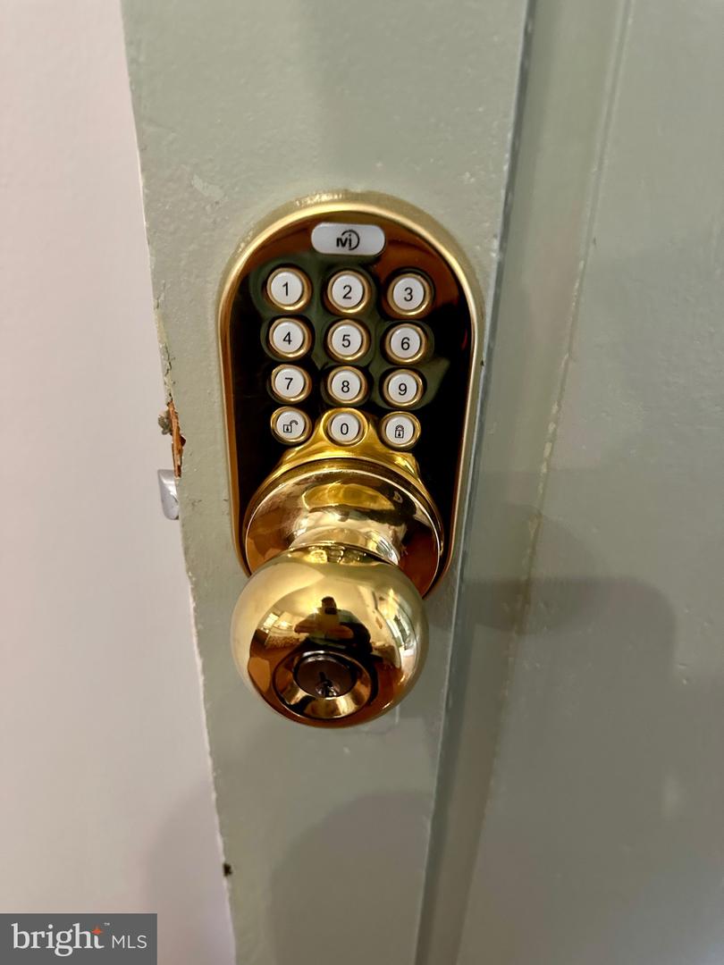 210 W MAIN ST, BERRYVILLE, Virginia 22611, 14 Bedrooms Bedrooms, ,6 BathroomsBathrooms,Residential,For sale,210 W MAIN ST,VACL2006488 MLS # VACL2006488