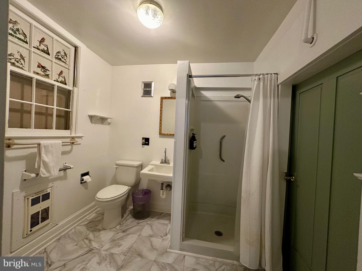 210 W MAIN ST, BERRYVILLE, Virginia 22611, 14 Bedrooms Bedrooms, ,6 BathroomsBathrooms,Residential,For sale,210 W MAIN ST,VACL2006488 MLS # VACL2006488