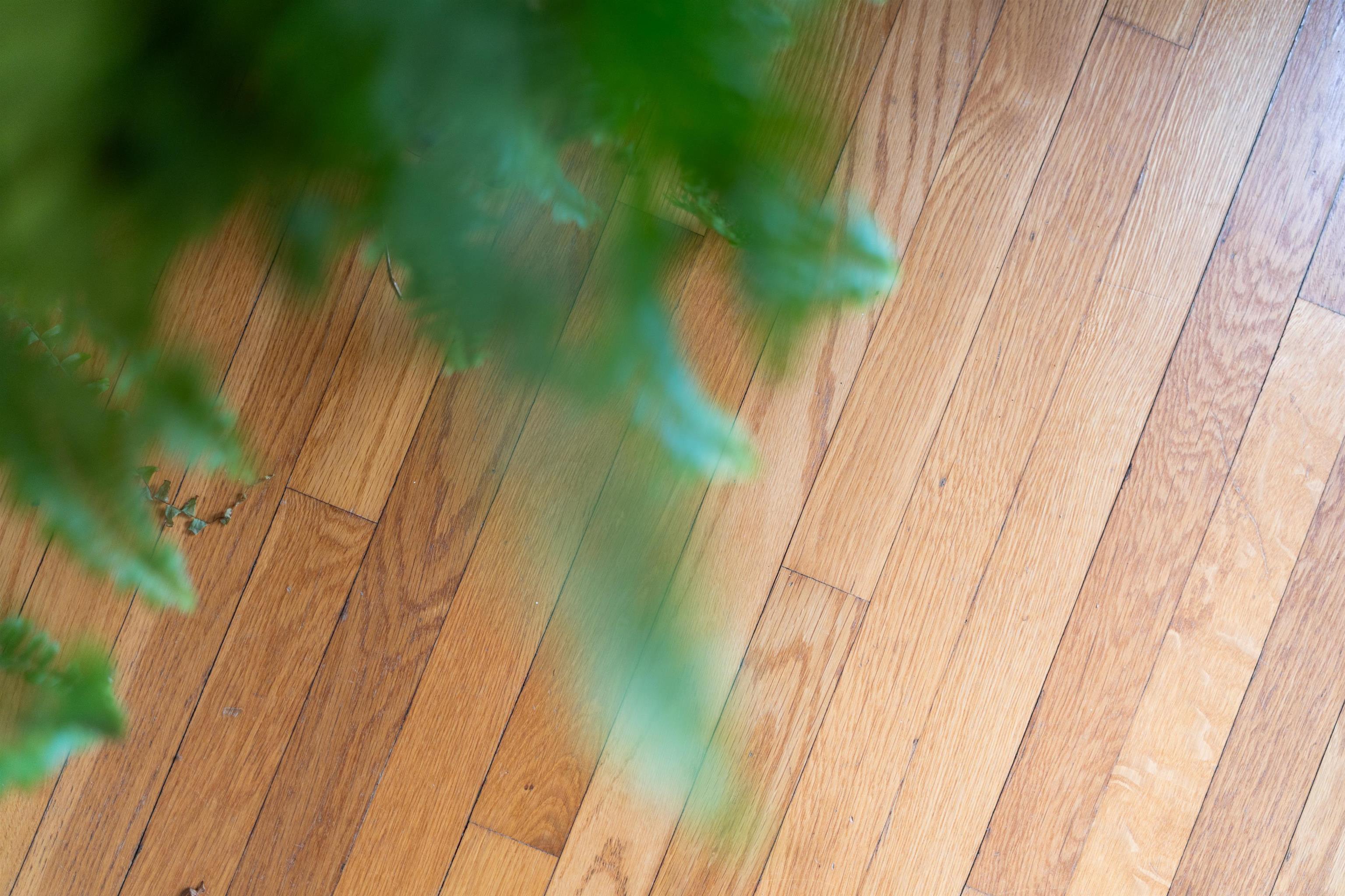 528 LOCUST AVE, WAYNESBORO, Virginia 22980, 4 Bedrooms Bedrooms, ,2 BathroomsBathrooms,Residential,528 LOCUST AVE,673033 MLS # 673033