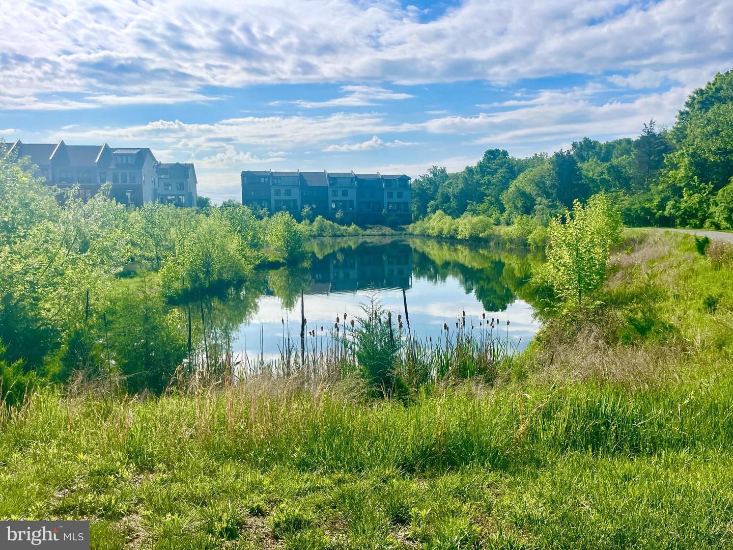 1612 ROCKY SHALE TER SE, LEESBURG, Virginia 20175, 3 Bedrooms Bedrooms, ,3 BathroomsBathrooms,Residential,For sale,1612 ROCKY SHALE TER SE,VALO2114888 MLS # VALO2114888