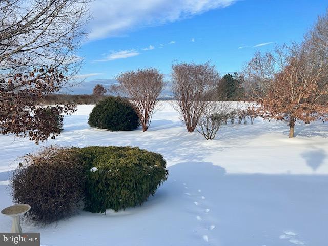 3460 INDIAN RUN ROAD, AMISSVILLE, Virginia 20106, 3 Bedrooms Bedrooms, 5 Rooms Rooms,2 BathroomsBathrooms,Residential,For sale,3460 INDIAN RUN ROAD,VACU2012584 MLS # VACU2012584