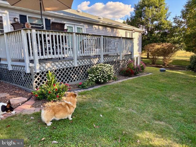 3460 INDIAN RUN ROAD, AMISSVILLE, Virginia 20106, 3 Bedrooms Bedrooms, 5 Rooms Rooms,2 BathroomsBathrooms,Residential,For sale,3460 INDIAN RUN ROAD,VACU2012584 MLS # VACU2012584