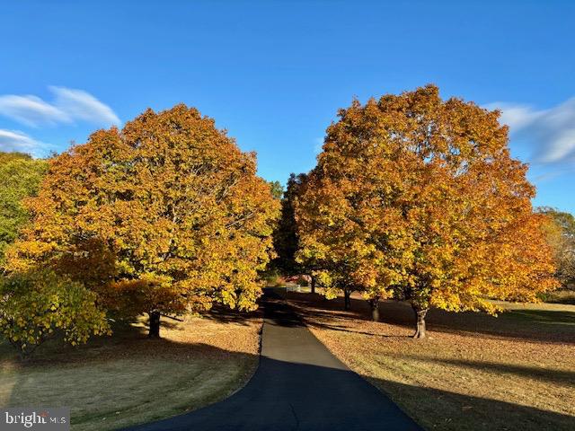 3460 INDIAN RUN ROAD, AMISSVILLE, Virginia 20106, 3 Bedrooms Bedrooms, 5 Rooms Rooms,2 BathroomsBathrooms,Residential,For sale,3460 INDIAN RUN ROAD,VACU2012584 MLS # VACU2012584