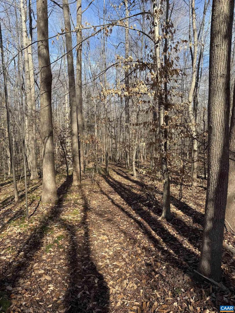 2019 BYBEE RD, LOUISA, Virginia 23093, 3 Bedrooms Bedrooms, ,2 BathroomsBathrooms,Residential,For sale,2019 BYBEE RD,672940 MLS # 672940