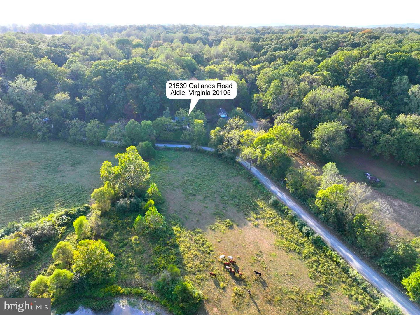 21539 OATLANDS RD, ALDIE, Virginia 20105, 4 Bedrooms Bedrooms, 7 Rooms Rooms,3 BathroomsBathrooms,Residential,For sale,21539 OATLANDS RD,VALO2114972 MLS # VALO2114972