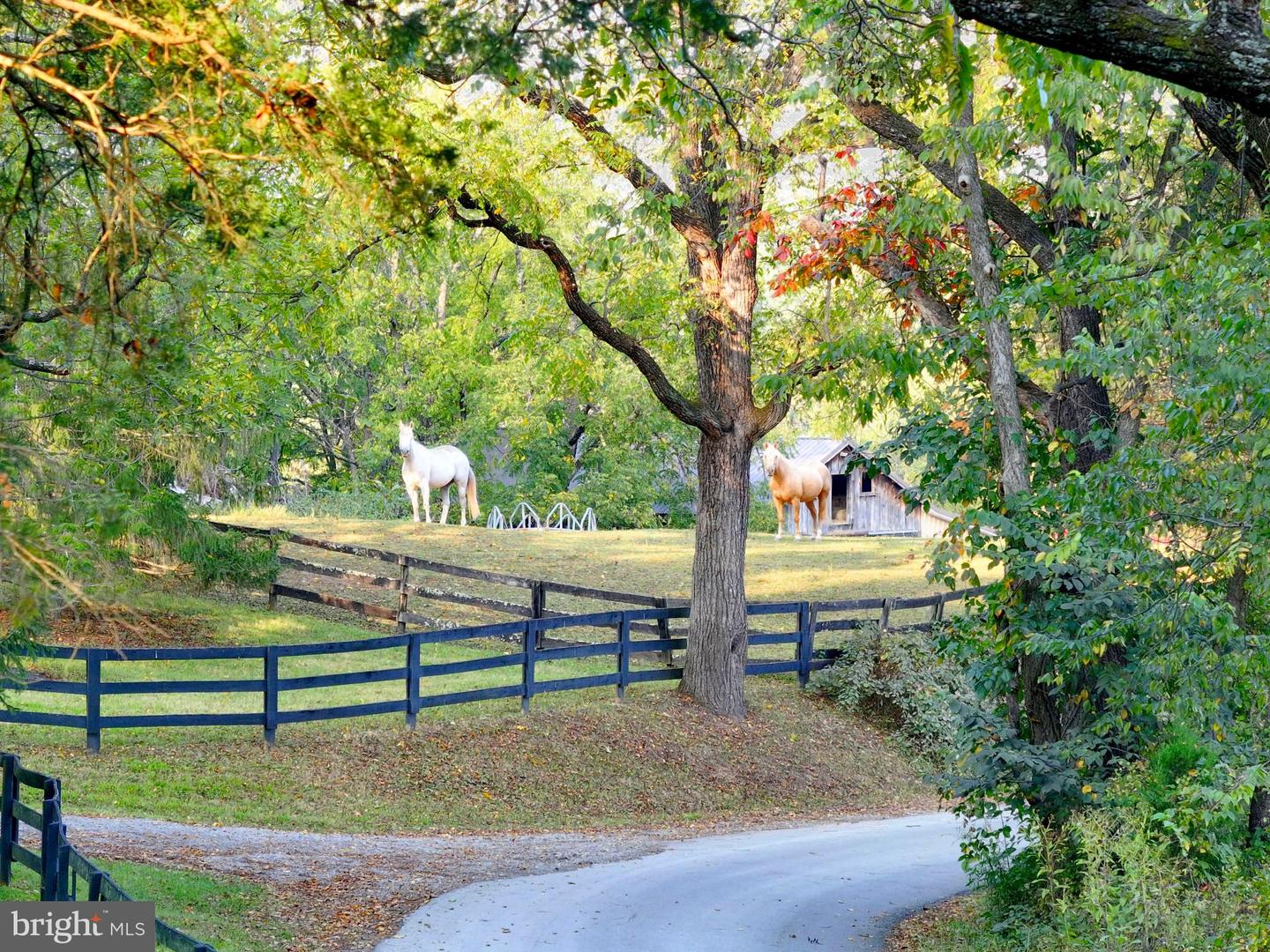 21539 OATLANDS RD, ALDIE, Virginia 20105, 4 Bedrooms Bedrooms, 7 Rooms Rooms,3 BathroomsBathrooms,Residential,For sale,21539 OATLANDS RD,VALO2114972 MLS # VALO2114972