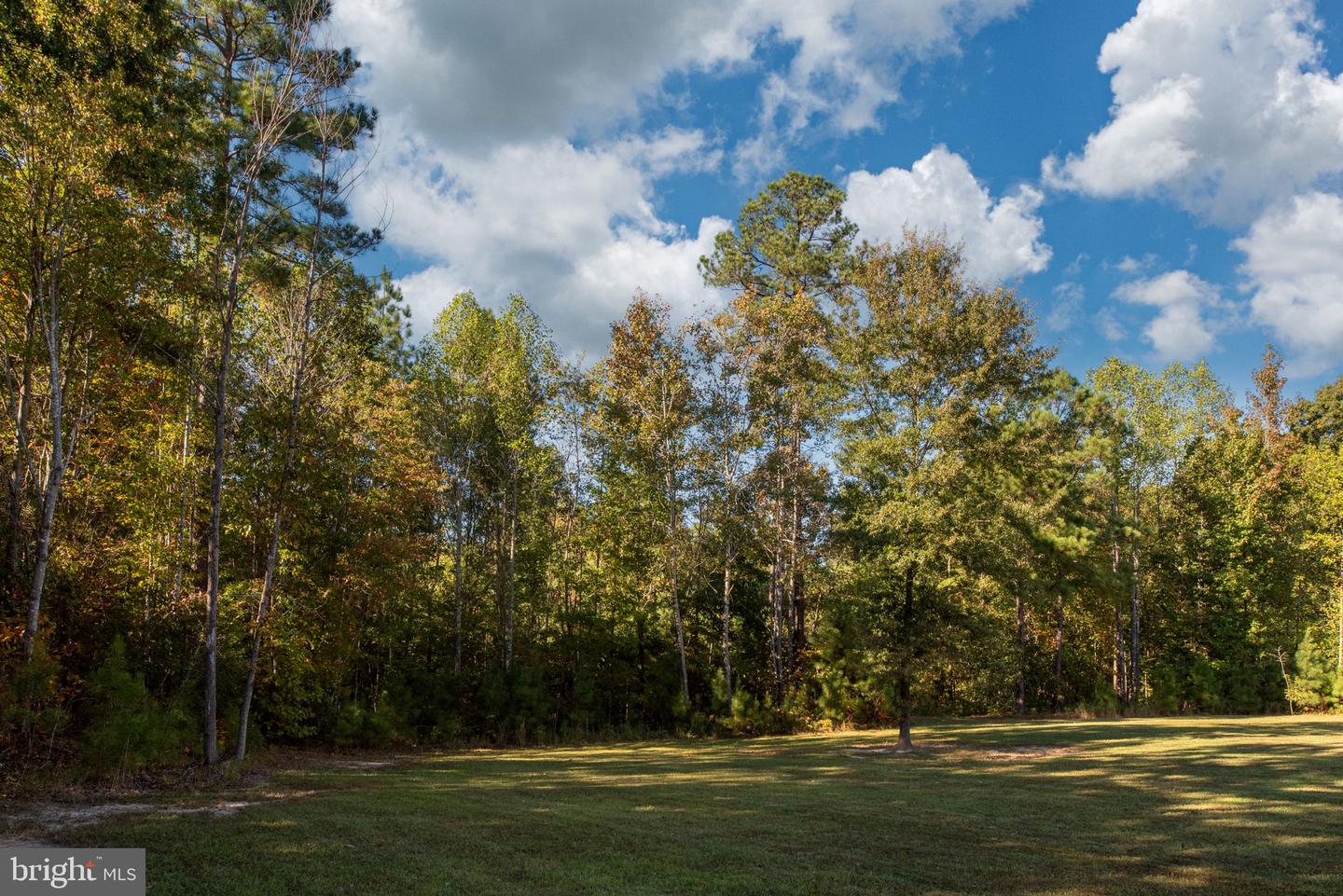 13201 BROOKE RIDGE LN, SPOTSYLVANIA, Virginia 22551, 5 Bedrooms Bedrooms, ,4 BathroomsBathrooms,Residential,For sale,13201 BROOKE RIDGE LN,VASP2039052 MLS # VASP2039052