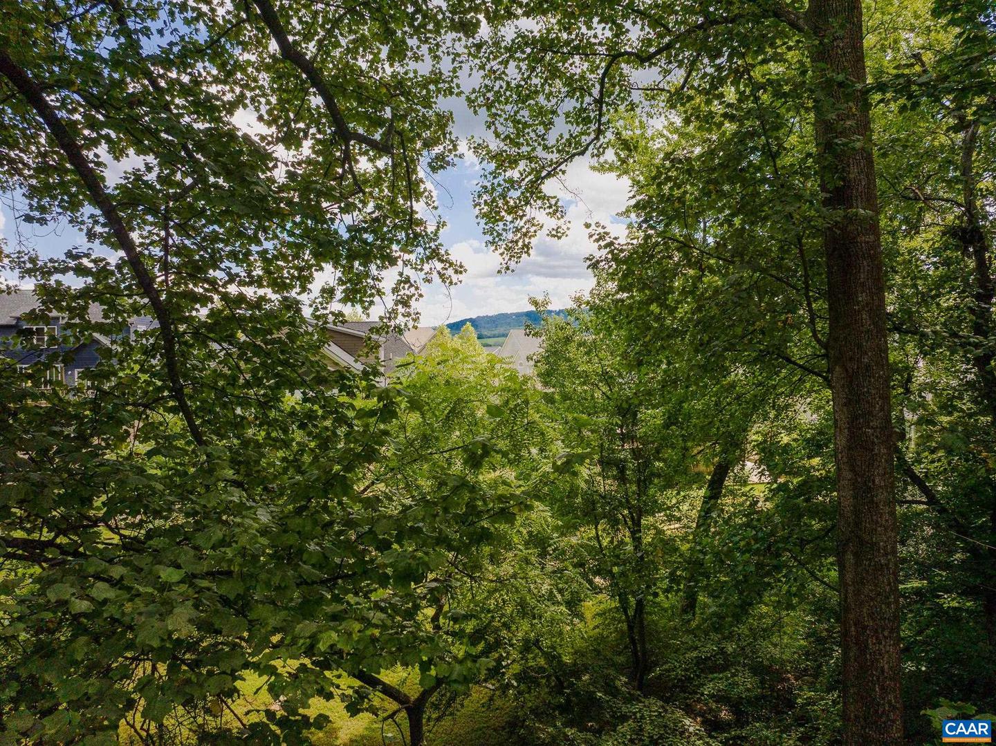 1234 HOLMES AVE, CHARLOTTESVILLE, Virginia 22901, 4 Bedrooms Bedrooms, ,2 BathroomsBathrooms,Residential,For sale,1234 HOLMES AVE,673024 MLS # 673024