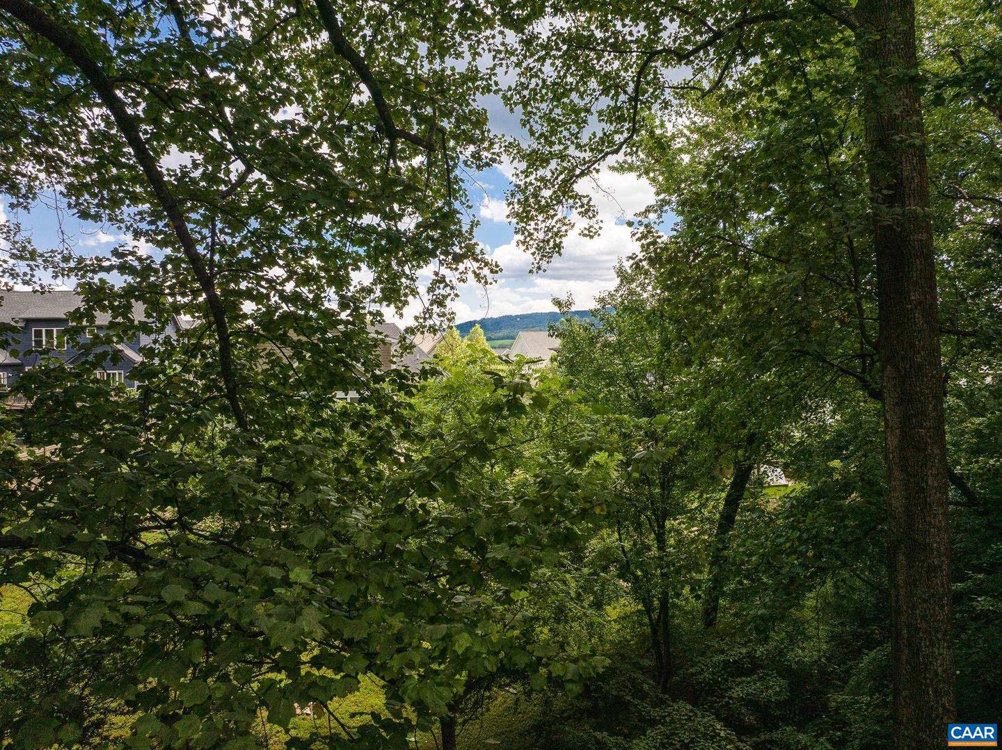 1234 HOLMES AVE, CHARLOTTESVILLE, Virginia 22901, 4 Bedrooms Bedrooms, ,2 BathroomsBathrooms,Residential,For sale,1234 HOLMES AVE,673024 MLS # 673024