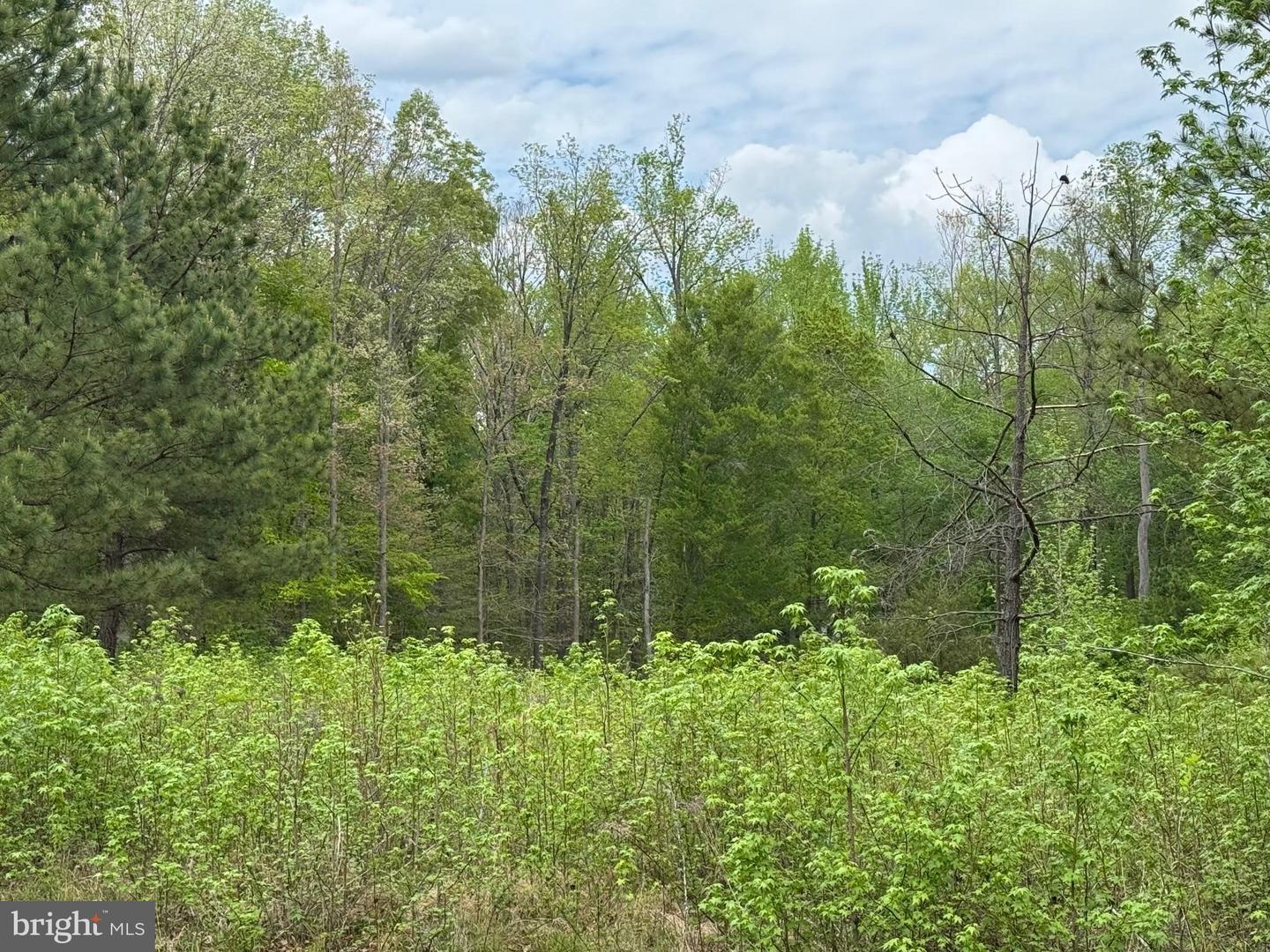 LOT 64 ARK AVE, BUMPASS, Virginia 23024, ,Land,For sale,LOT 64 ARK AVE,VALA2007698 MLS # VALA2007698