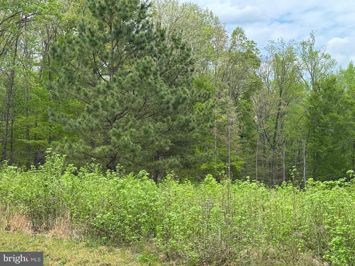LOT 64 ARK AVE, BUMPASS, Virginia 23024, ,Land,For sale,LOT 64 ARK AVE,VALA2007698 MLS # VALA2007698