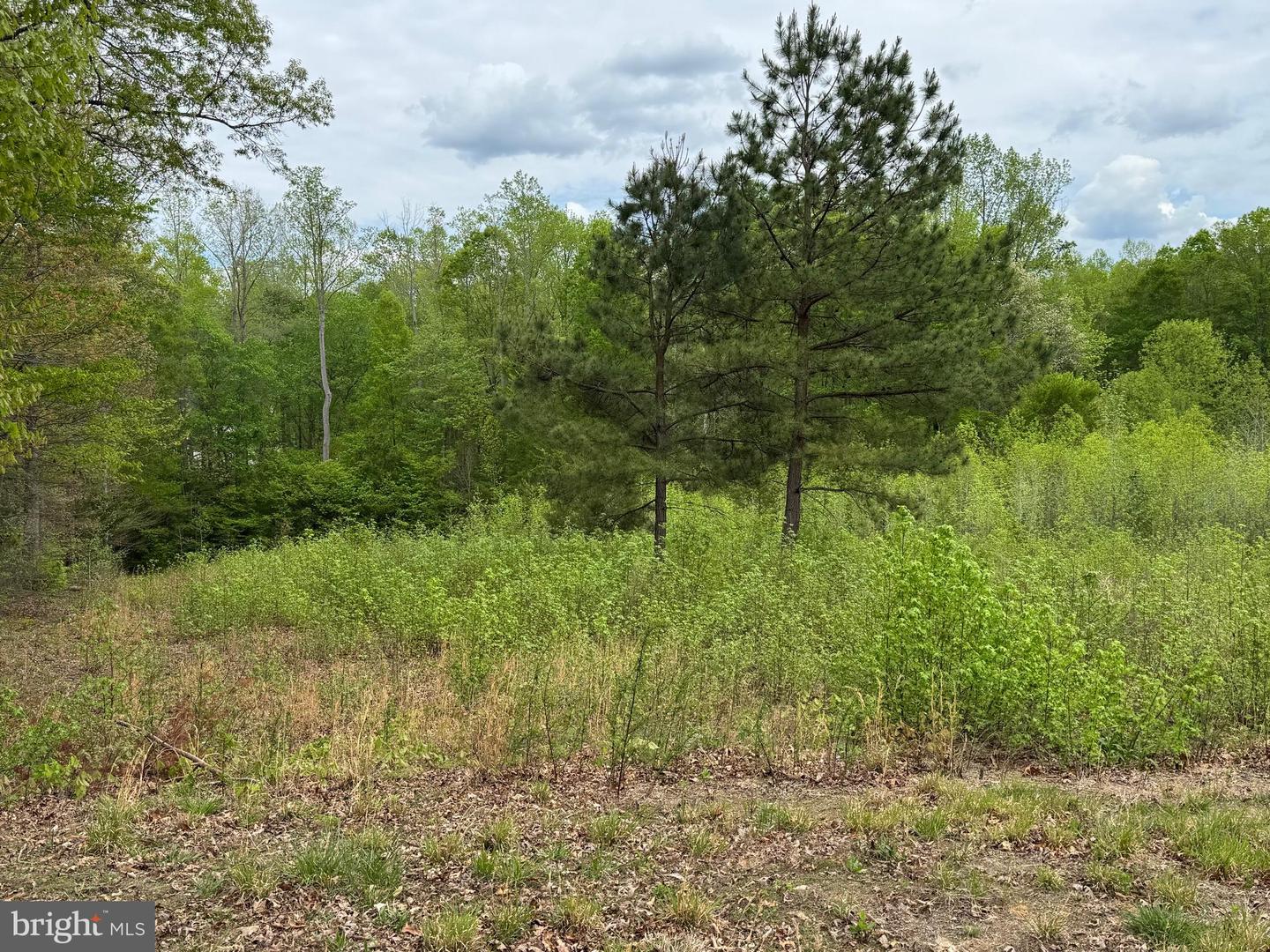 LOT 64 ARK AVE, BUMPASS, Virginia 23024, ,Land,For sale,LOT 64 ARK AVE,VALA2007698 MLS # VALA2007698