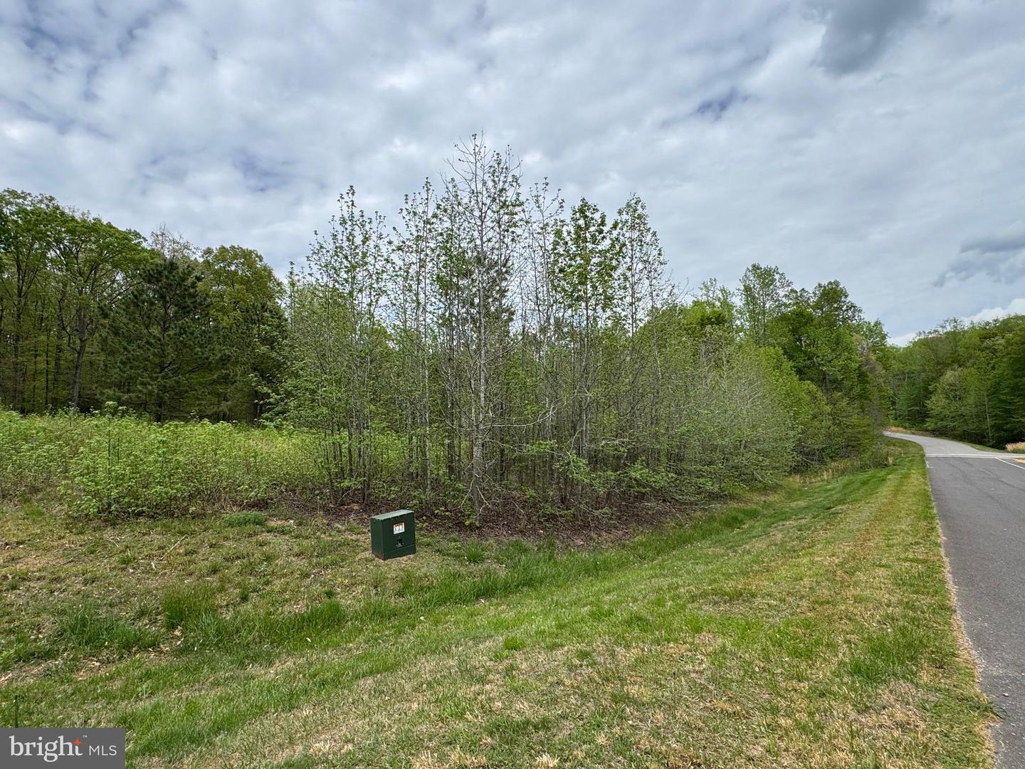 LOT 64 ARK AVE, BUMPASS, Virginia 23024, ,Land,For sale,LOT 64 ARK AVE,VALA2007698 MLS # VALA2007698