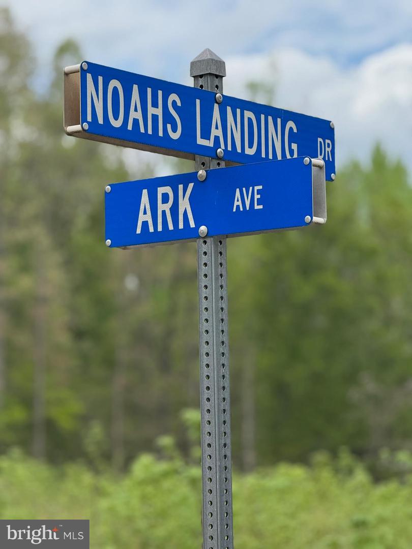 LOT 64 ARK AVE, BUMPASS, Virginia 23024, ,Land,For sale,LOT 64 ARK AVE,VALA2007698 MLS # VALA2007698