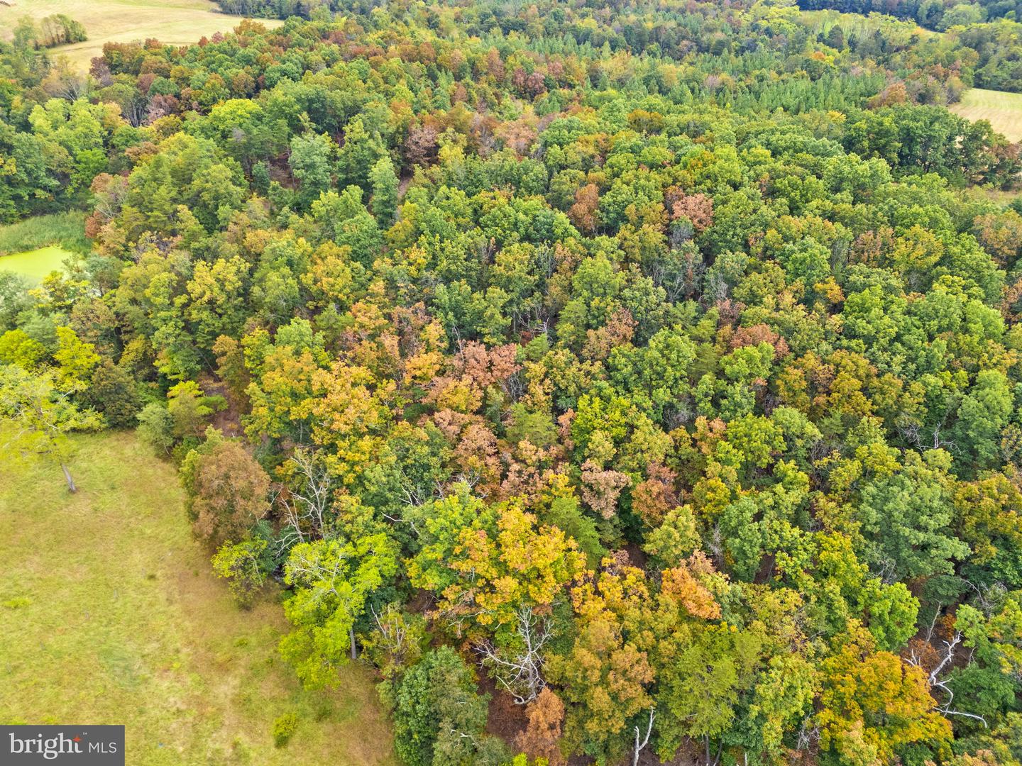 LOT 24M BLOOMERY PIKE, CROSS JUNCTION, Virginia 22625, ,Land,For sale,LOT 24M BLOOMERY PIKE,VAFV2039414 MLS # VAFV2039414