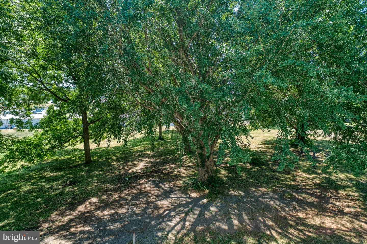 150 N MAIN ST, MADISON, Virginia 22727, 4 Bedrooms Bedrooms, ,2 BathroomsBathrooms,Residential,For sale,150 N MAIN ST,VAMA2002478 MLS # VAMA2002478