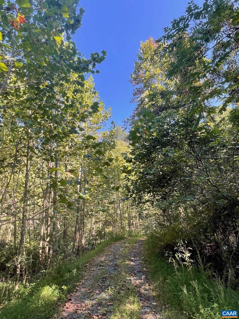 TBD STONY POINT PASS, KESWICK, Virginia 22947, ,Farm,For sale,TBD STONY POINT PASS,673054 MLS # 673054 TBD STONY POINT PASS, KESWICK, Virginia 22947, ,Farm,For sale,TBD STONY POINT PASS,673054 MLS # 673054