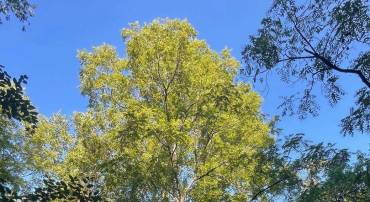 TBD STONY POINT PASS, KESWICK, Virginia 22947, ,Farm,For sale,TBD STONY POINT PASS,673054 MLS # 673054