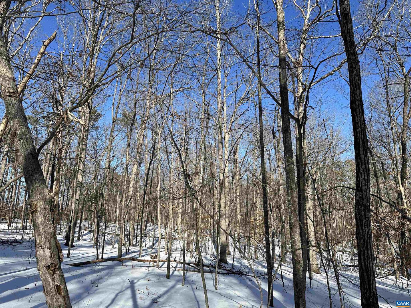 02 BEAVERDAM RD #2, KESWICK, Virginia 22947, ,Land,For sale,02 BEAVERDAM RD #2,673063 MLS # 673063