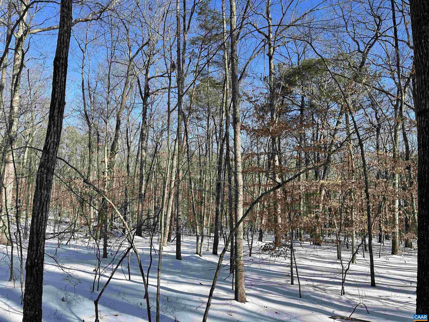 02 BEAVERDAM RD #2, KESWICK, Virginia 22947, ,Land,For sale,02 BEAVERDAM RD #2,673063 MLS # 673063