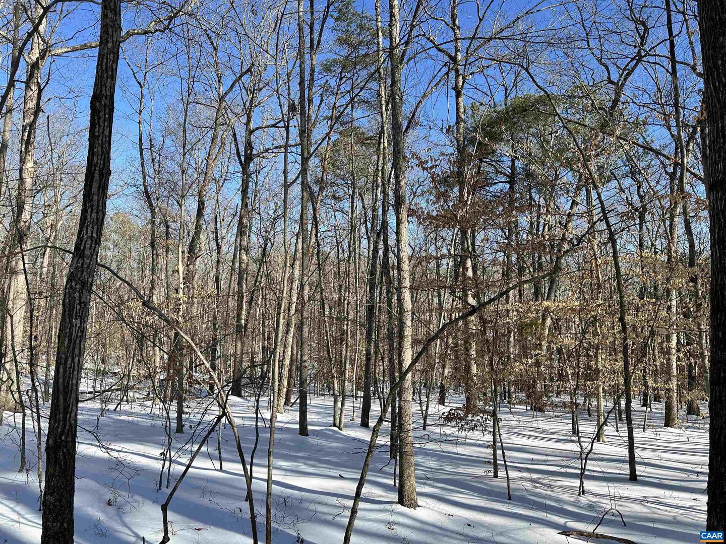 02 BEAVERDAM RD #2, KESWICK, Virginia 22947, ,Land,For sale,02 BEAVERDAM RD #2,673063 MLS # 673063