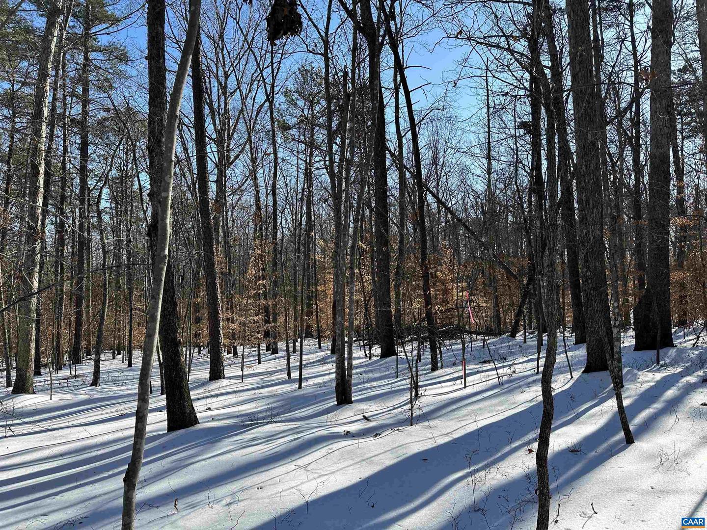 02 BEAVERDAM RD #2, KESWICK, Virginia 22947, ,Land,For sale,02 BEAVERDAM RD #2,673063 MLS # 673063