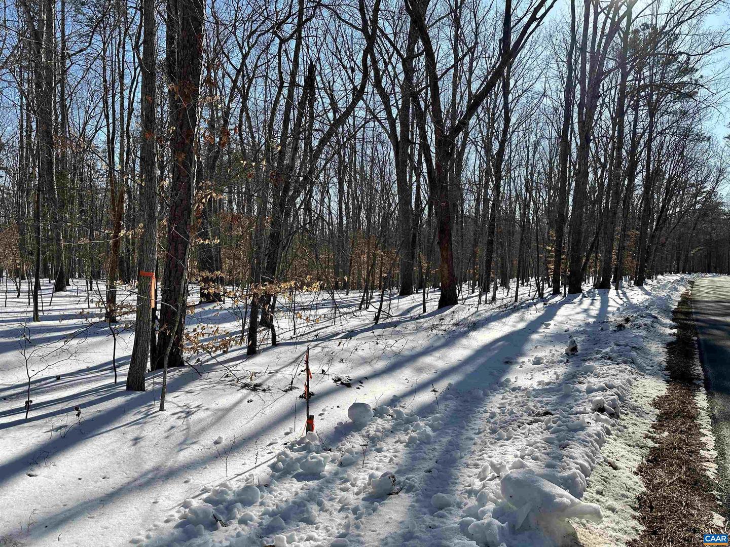 001 BEAVER DAM RD, KESWICK, Virginia 22947, ,Land,For sale,001 BEAVER DAM RD,673064 MLS # 673064