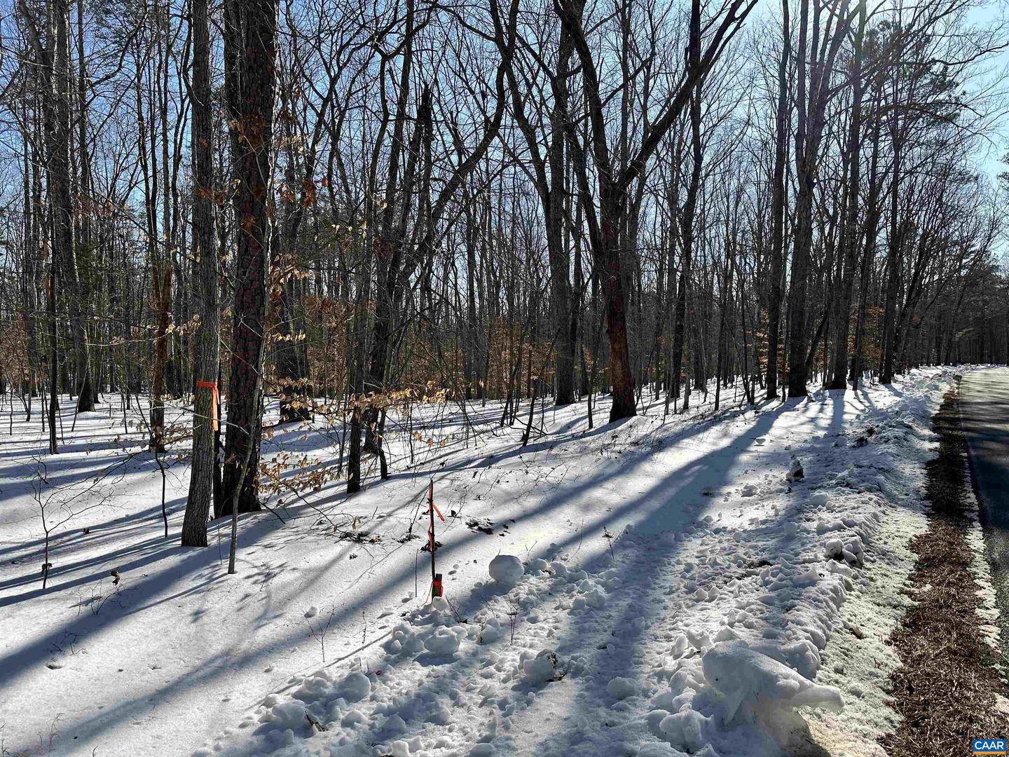 001 BEAVER DAM RD, KESWICK, Virginia 22947, ,Land,For sale,001 BEAVER DAM RD,673064 MLS # 673064