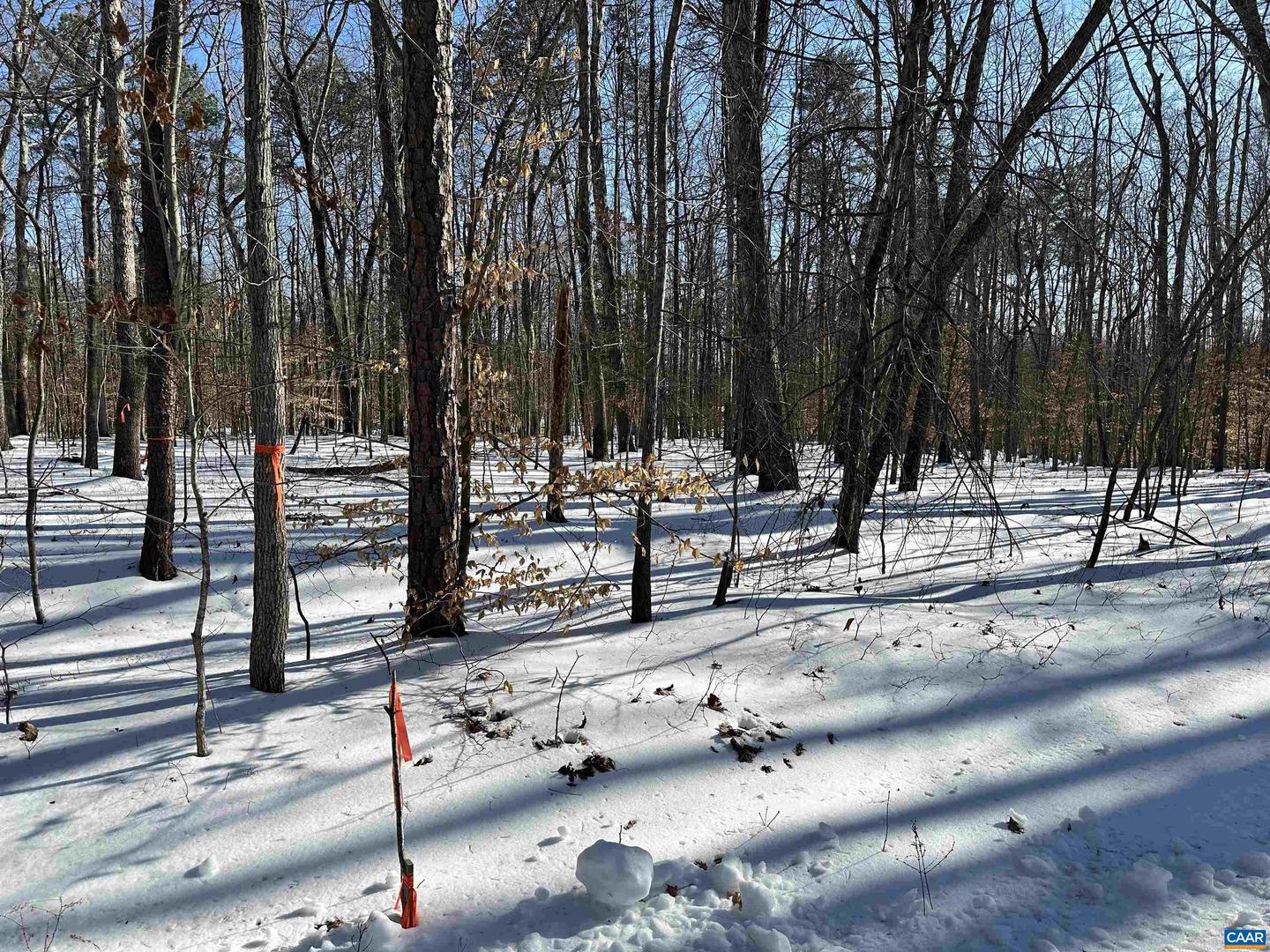 001 BEAVER DAM RD, KESWICK, Virginia 22947, ,Land,For sale,001 BEAVER DAM RD,673064 MLS # 673064