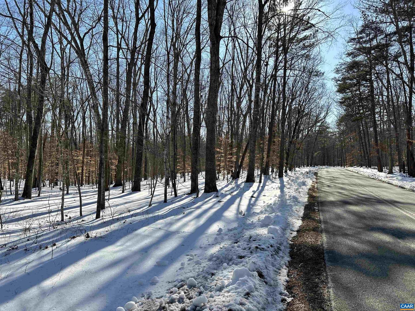 001 BEAVER DAM RD, KESWICK, Virginia 22947, ,Land,For sale,001 BEAVER DAM RD,673064 MLS # 673064