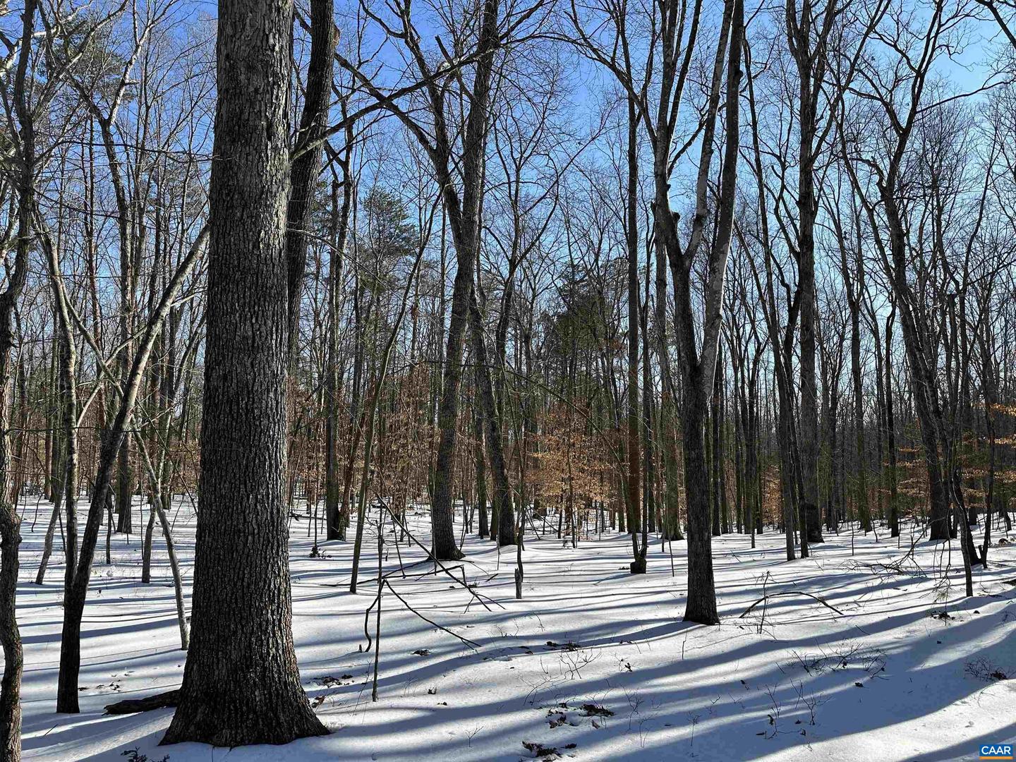 001 BEAVER DAM RD, KESWICK, Virginia 22947, ,Land,For sale,001 BEAVER DAM RD,673064 MLS # 673064