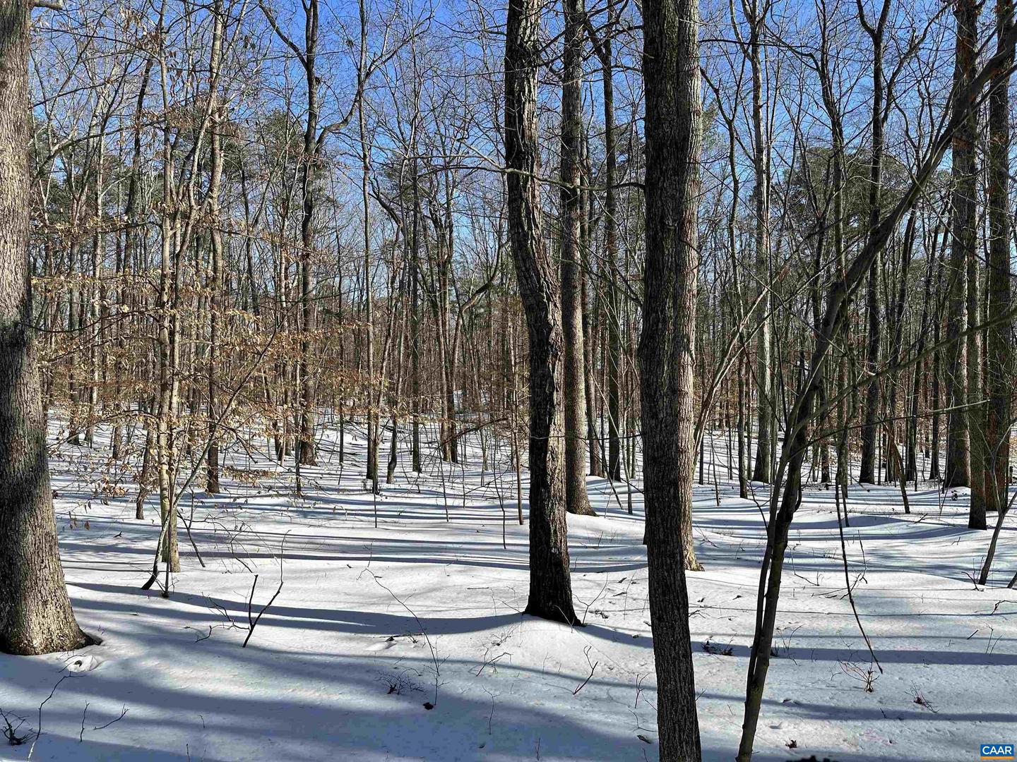 001 BEAVER DAM RD, KESWICK, Virginia 22947, ,Land,For sale,001 BEAVER DAM RD,673064 MLS # 673064