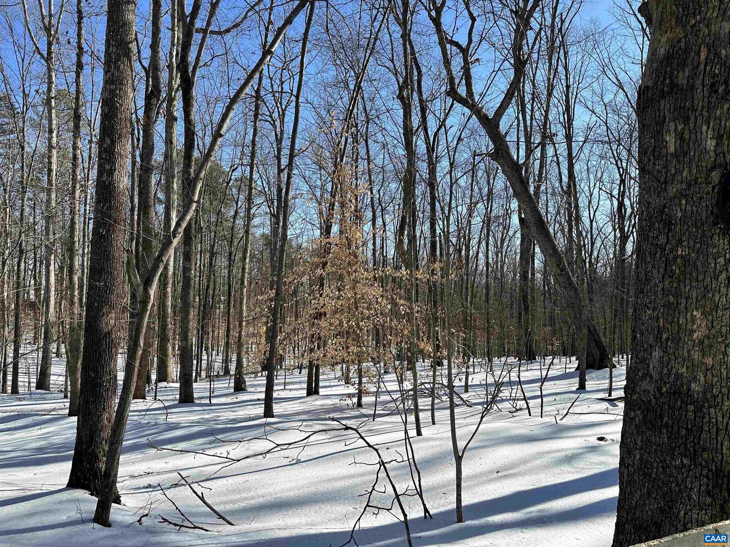 001 BEAVER DAM RD, KESWICK, Virginia 22947, ,Land,For sale,001 BEAVER DAM RD,673064 MLS # 673064