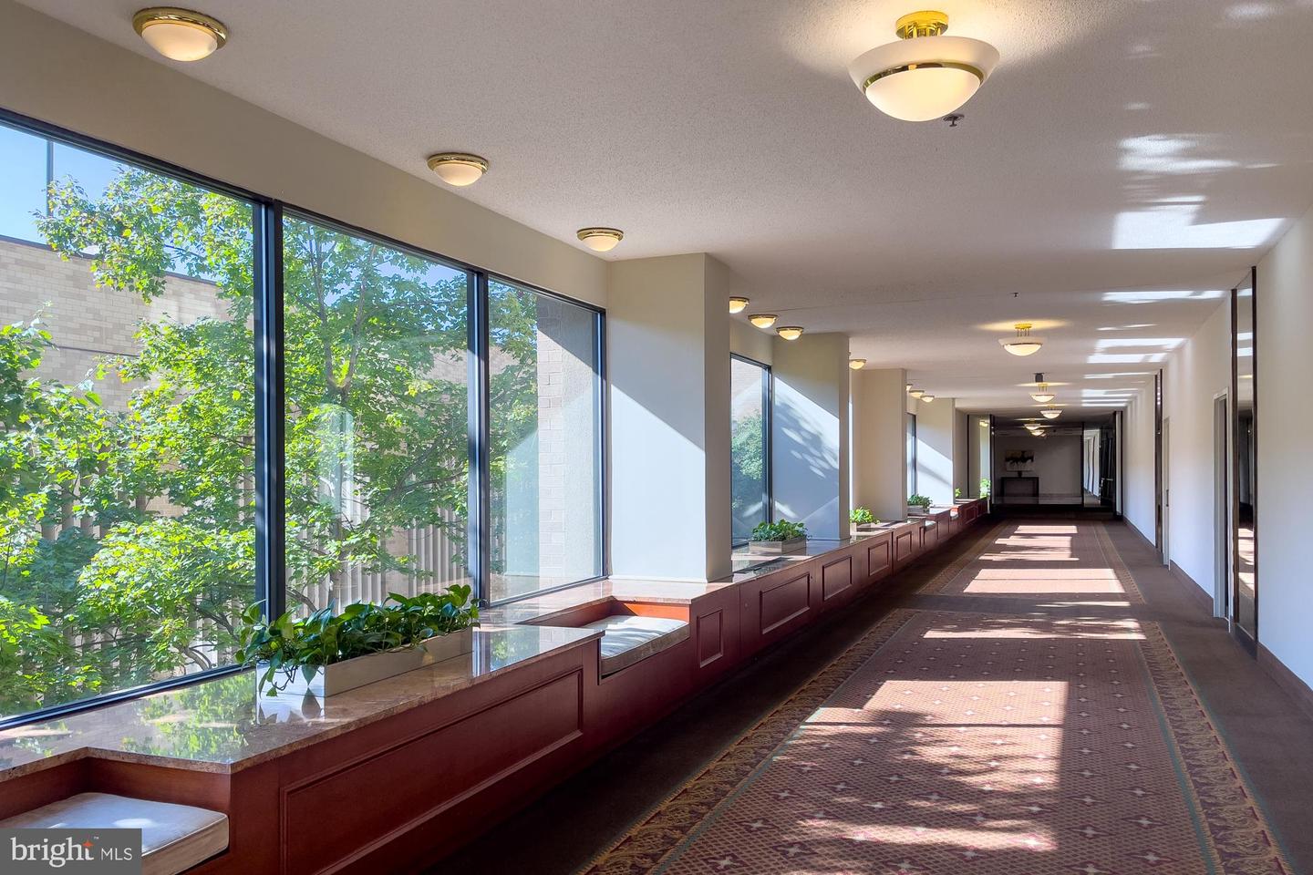 3709 S GEORGE MASON DR #1605E, FALLS CHURCH, Virginia 22041, 3 Bedrooms Bedrooms, ,2 BathroomsBathrooms,Residential,For sale,3709 S GEORGE MASON DR #1605E,VAFX2277094 MLS # VAFX2277094