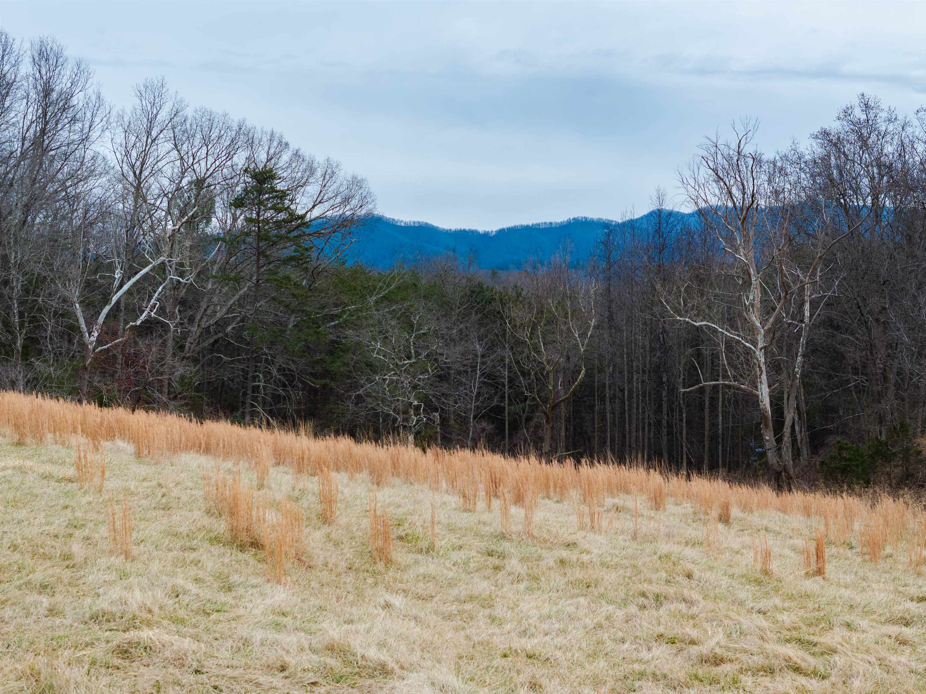 516 SLAPP CREEK RD, AMHERST, Virginia 24521, 3 Bedrooms Bedrooms, ,3 BathroomsBathrooms,Residential,516 SLAPP CREEK RD,673046 MLS # 673046