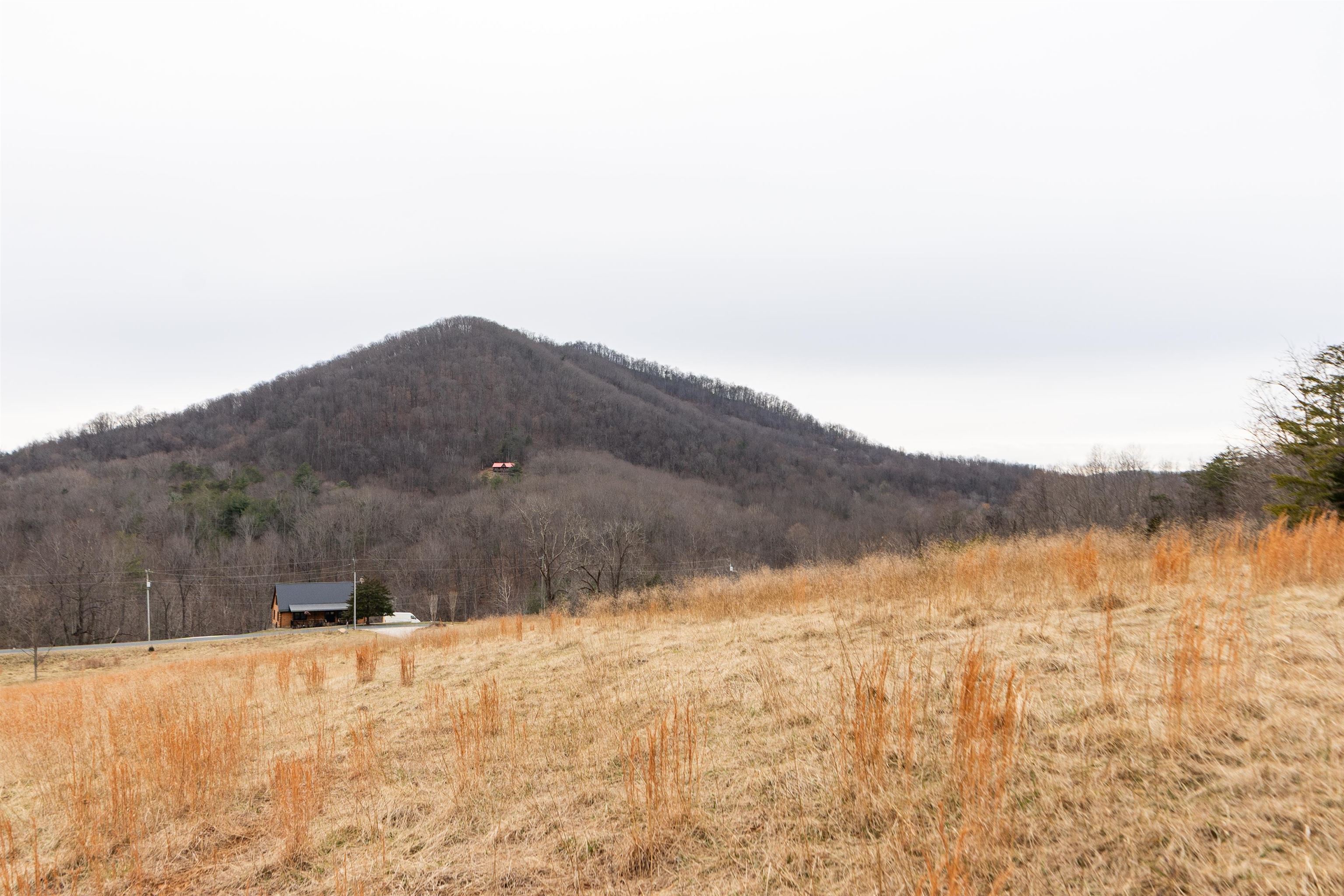 516 SLAPP CREEK RD, AMHERST, Virginia 24521, 3 Bedrooms Bedrooms, ,3 BathroomsBathrooms,Residential,516 SLAPP CREEK RD,673046 MLS # 673046