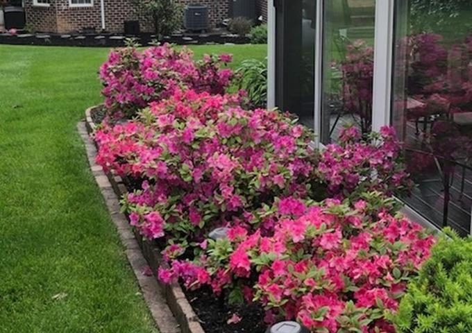 121 FAIRWAY DR, HARRISONBURG, Virginia 22802, 5 Bedrooms Bedrooms, ,3 BathroomsBathrooms,Residential,121 FAIRWAY DR,673058 MLS # 673058