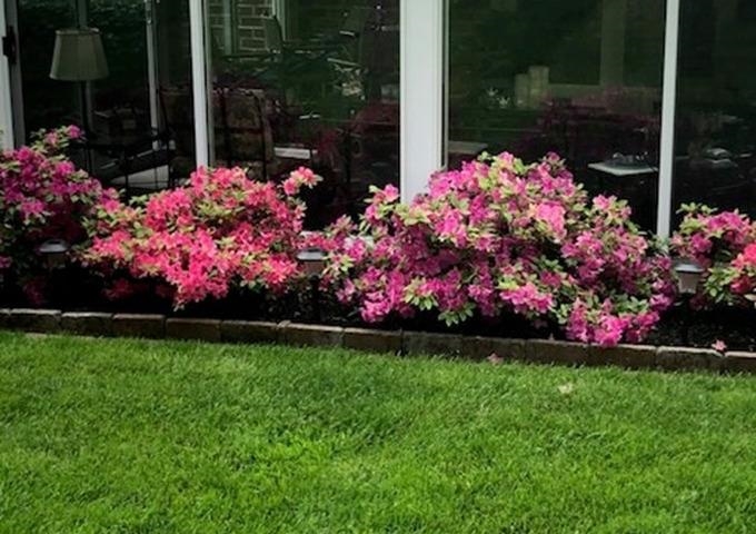 121 FAIRWAY DR, HARRISONBURG, Virginia 22802, 5 Bedrooms Bedrooms, ,3 BathroomsBathrooms,Residential,121 FAIRWAY DR,673058 MLS # 673058